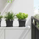 Vidaxx pot de fleur carré 6 pcs noir 20 x 20 x 16 cm plastique