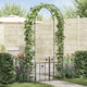 Vidaxl Arche de jardin avec serrure noir 203 x 50 x 218 cm