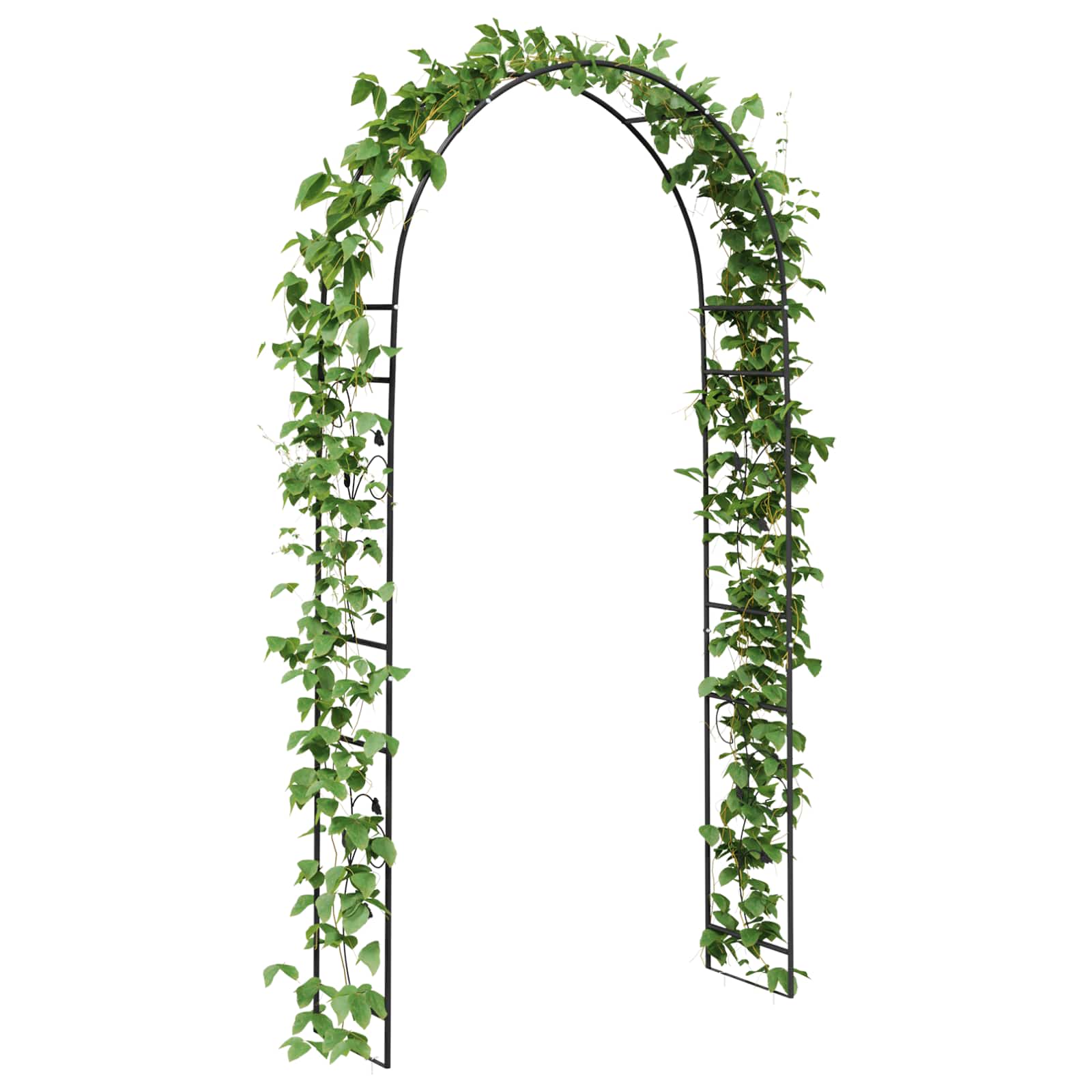 VidaXL Arche de jardin fleurs noir 115 x 37 x 231 cm