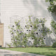 Vidaxl clôture de jardin 3 pcs noir 110,5 x 42,5 cm acier