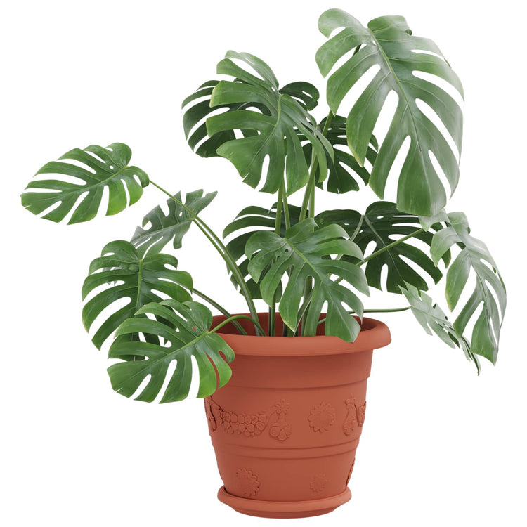 Vidaxl pots de plantes 6 pcs rouge brique ø 26 x 21,5 cm en plastique