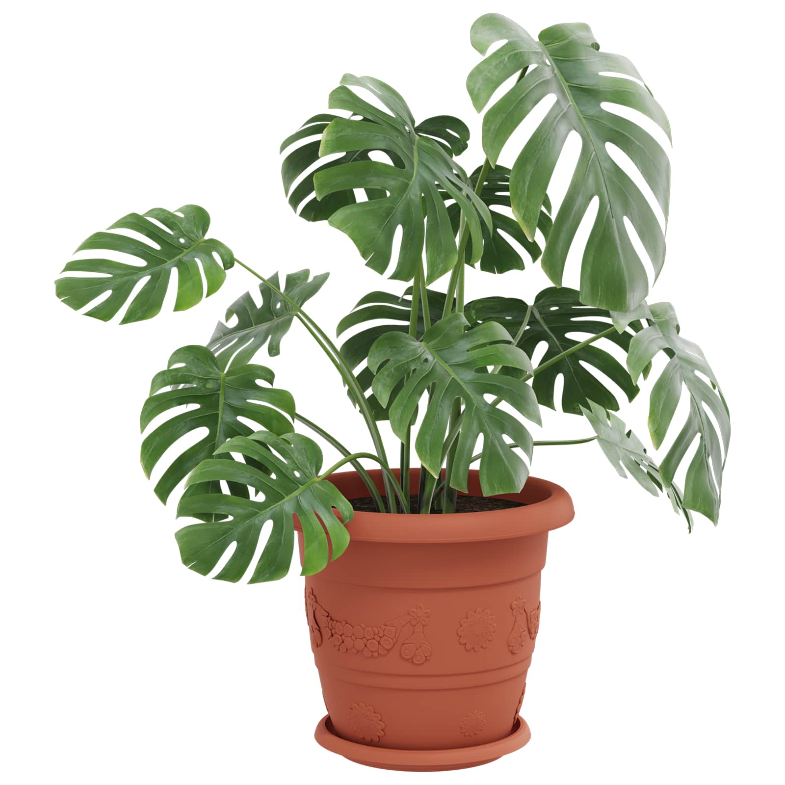 Vidaxl pots de plantes 6 pcs rouge brique ø 26 x 21,5 cm en plastique