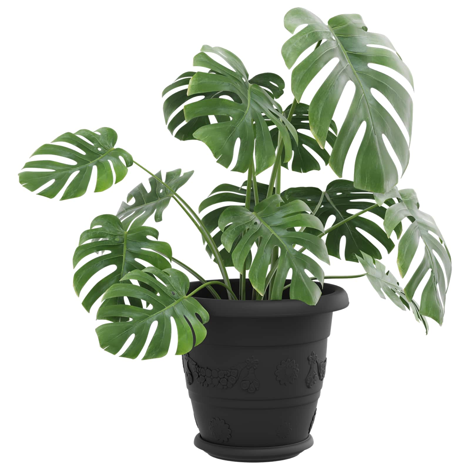 Vidaxxl pots de fleurs 6 pcs noir ø 26 x 21,5 cm en plastique