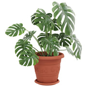 Vidaxxl pots de plantes 24 pcs rouge brique ø 26 x 21,5 cm en plastique - afbeelding 3
