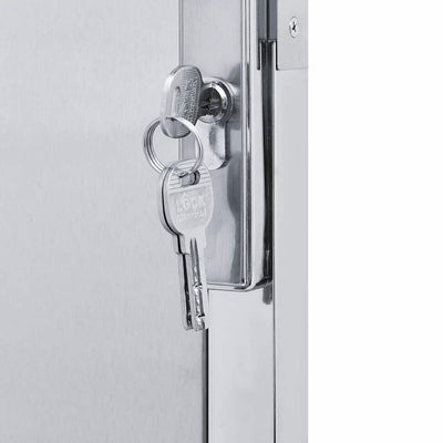 VidaXL portail de jardin avec serrure argent 100 x 75 cm en acier inoxydable