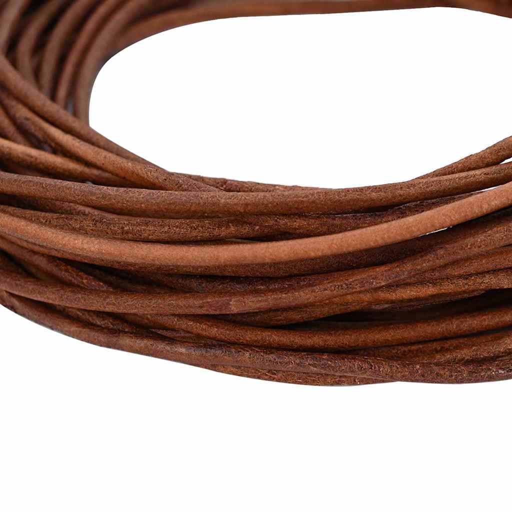 Vidaxl cordon cuir marron clair ø3 mm x 5 m cuir