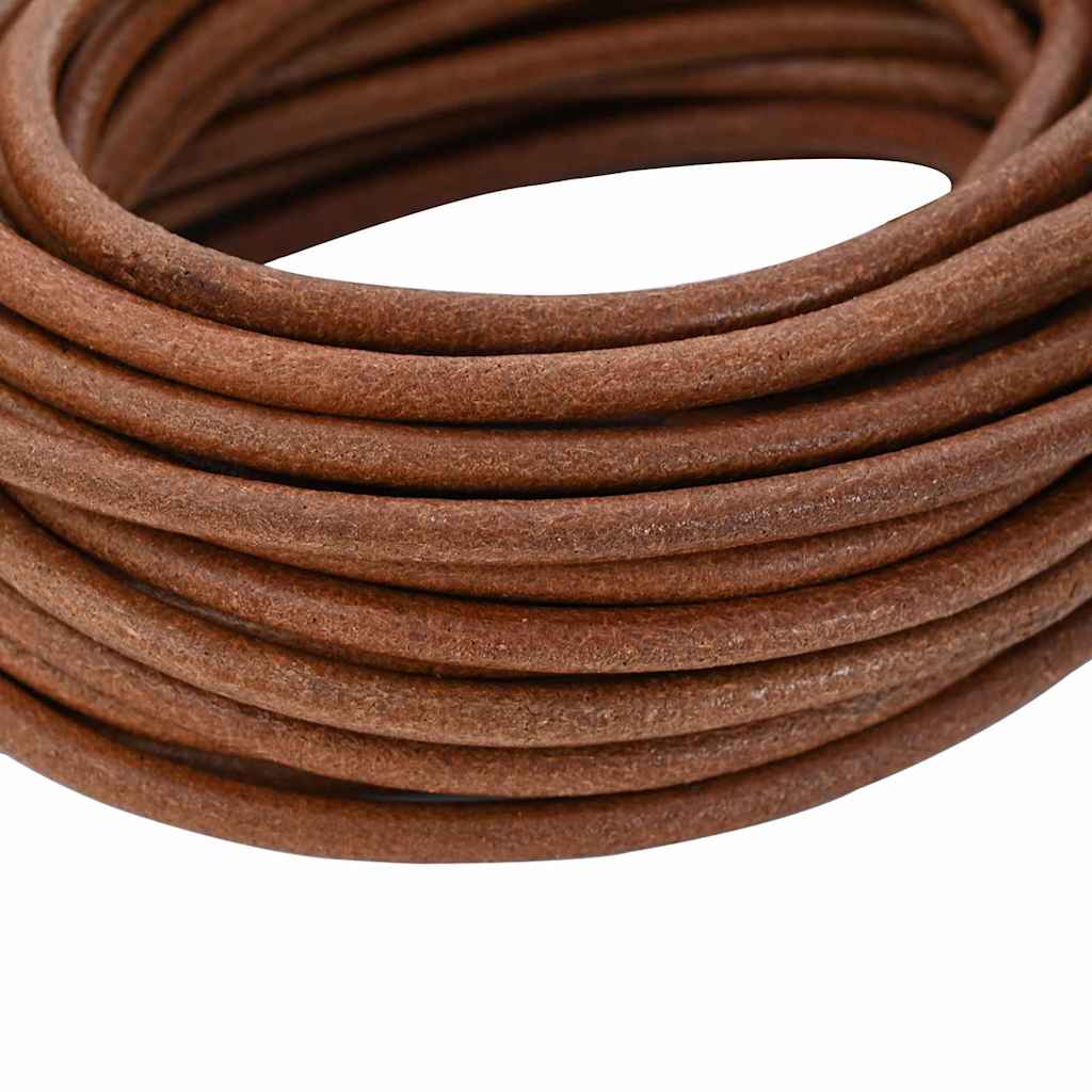 Vidaxxl cordon en cuir marron clair ø5 mm x 50 m cuir
