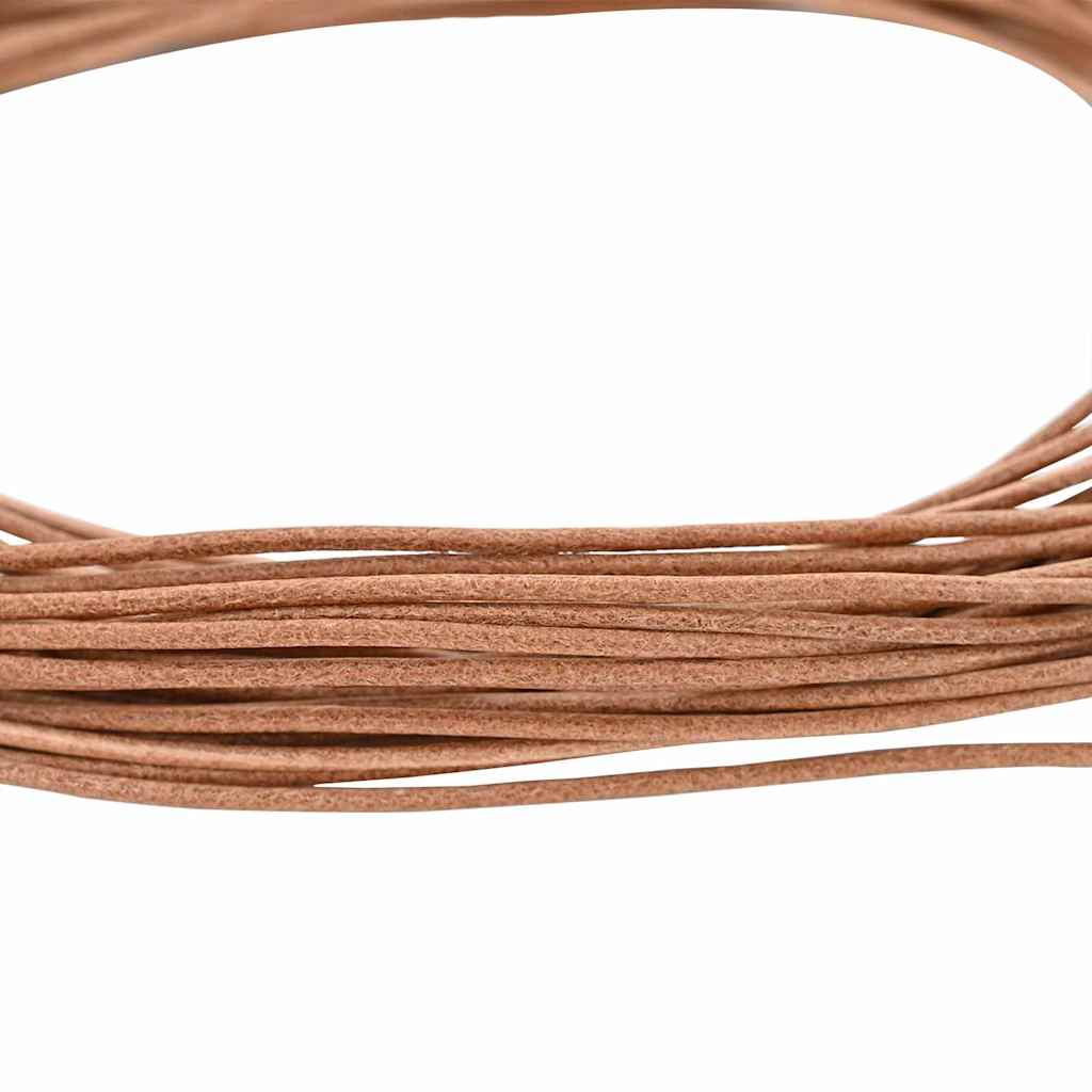 Vidaxl cordon cuir marron ø2 mm x 10 m cuir