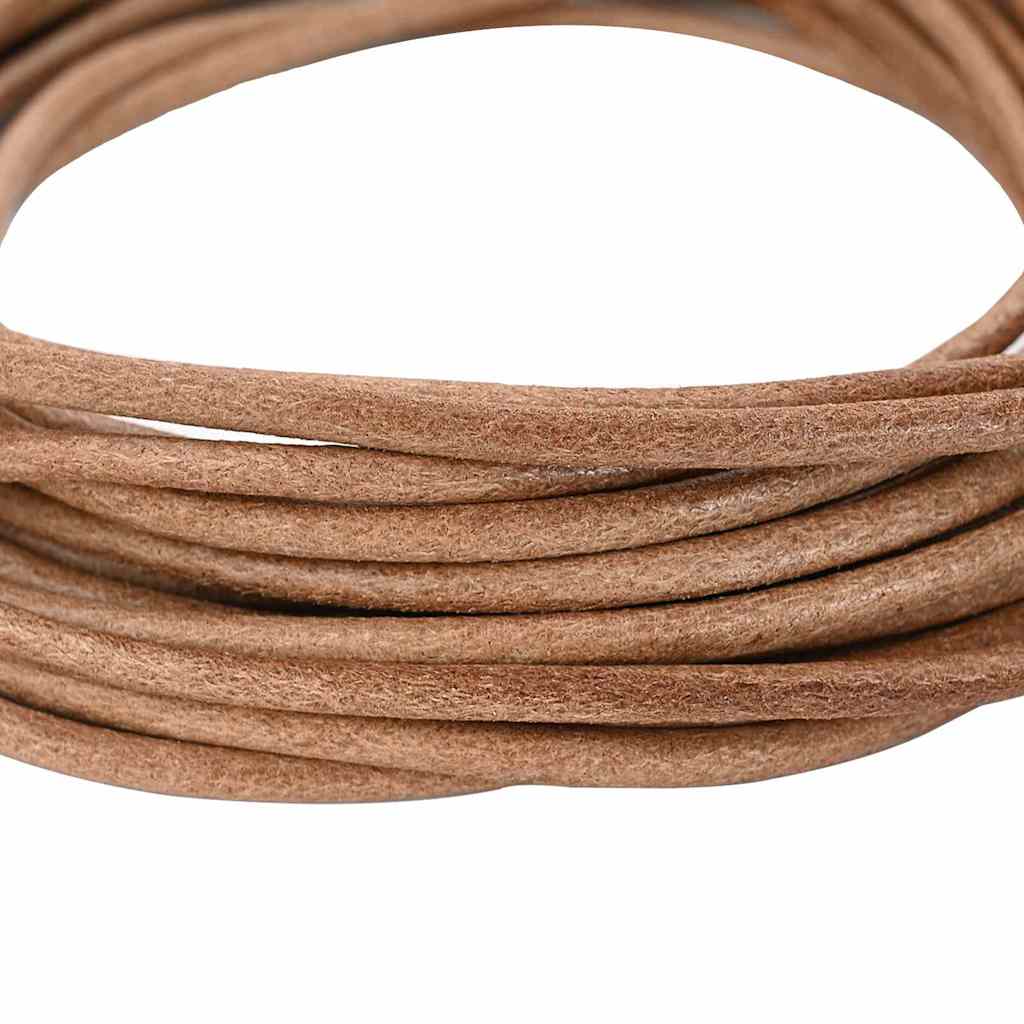Vidaxl cordon cuir marron ø4 mm x 10 m cuir
