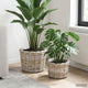 Vidaxl pot de fleur panier avec rangement 2 pcs rotin kubu gris