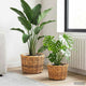 Vidaxl pot de fleur panier avec rangement 2 pcs rotin kubu marron