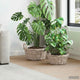 Vidaxl panier à plantes avec rangement 2 pcs osier lacak gris