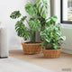 Vidaxl panier à plantes avec rangement 2 pcs osier lacak marron
