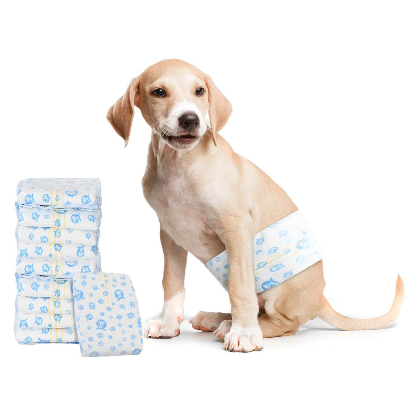 VidaXL services jetables pour chiens mâles 30 pièces blanc m
