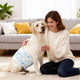 Vidaxl services jetables pour chiens mâles 30 pièces blanc l