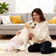 VidaXL couche jetable pour chien pour femelles 30 pcs blanc m