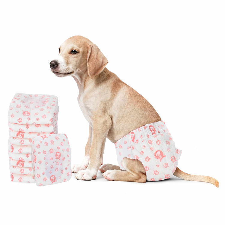VidaXL couche jetable pour chien pour femelles 30 pcs blanc m