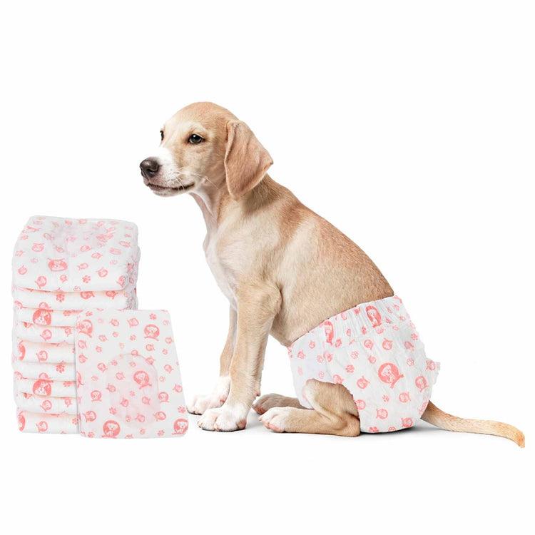 VidaXL couche jetable pour chien pour femelles 30 pcs blanc l