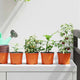Vidaxx pot de fleur 200 pcs terre cuite ø 15 x 12,5 cm plastique