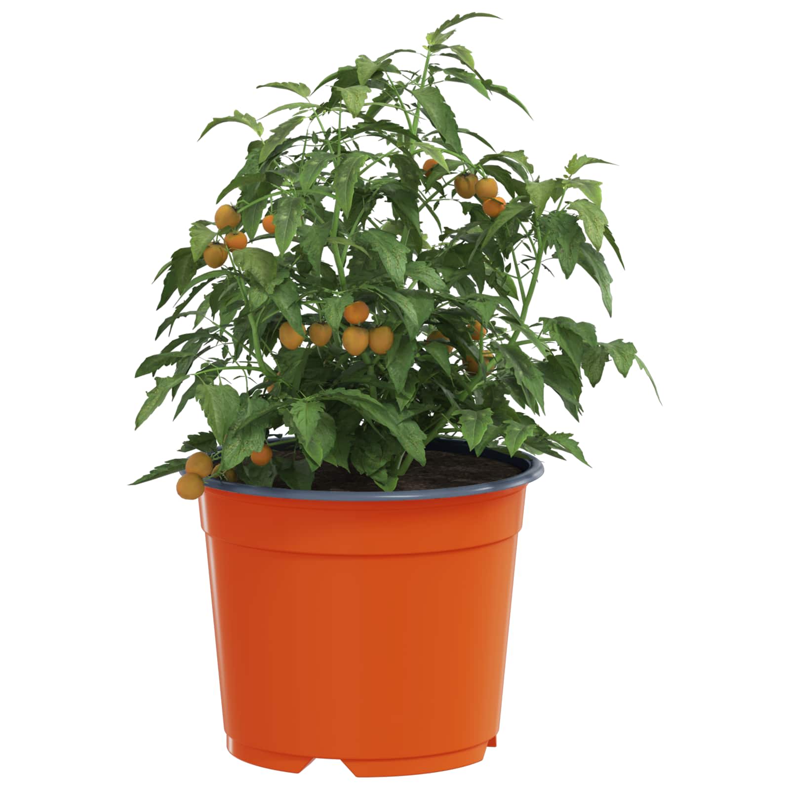 Vidaxx pot de fleur 200 pcs terre cuite ø 15 x 12,5 cm plastique