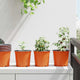 Vidaxx pot de fleur 100 pcs terre cuite ø 15 x 13 cm plastique