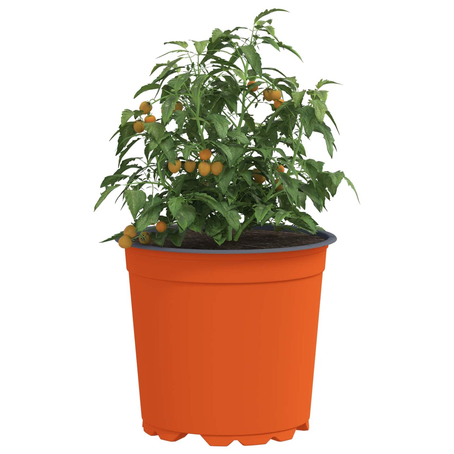 Vidaxx pot de fleur 100 pcs terre cuite ø 15 x 13 cm plastique
