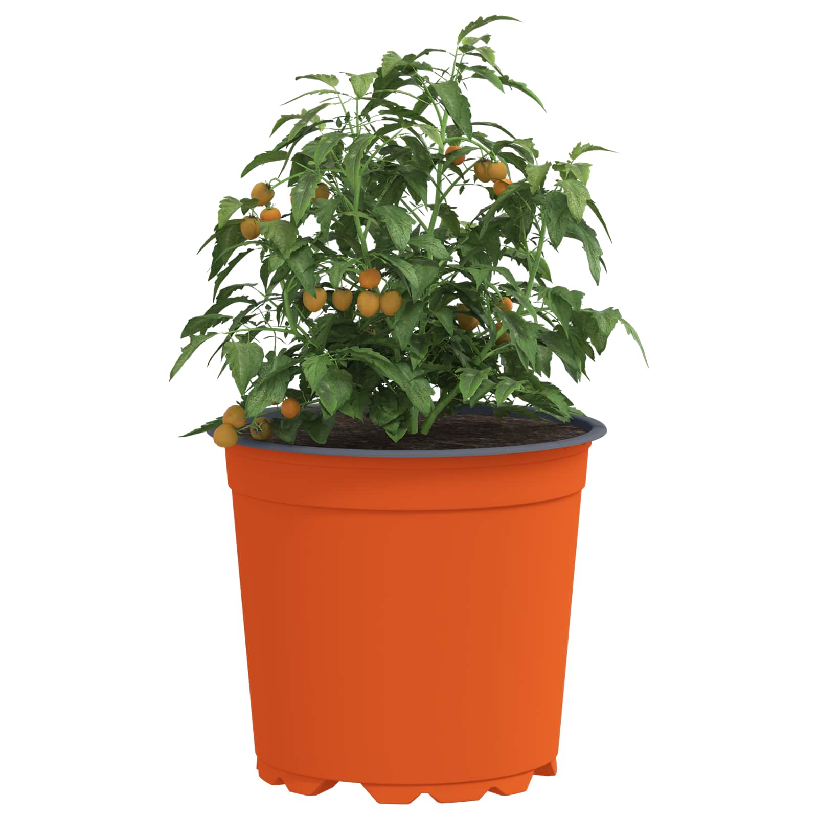 Vidaxx pot de fleur 100 pcs terre cuite ø 15 x 13 cm plastique