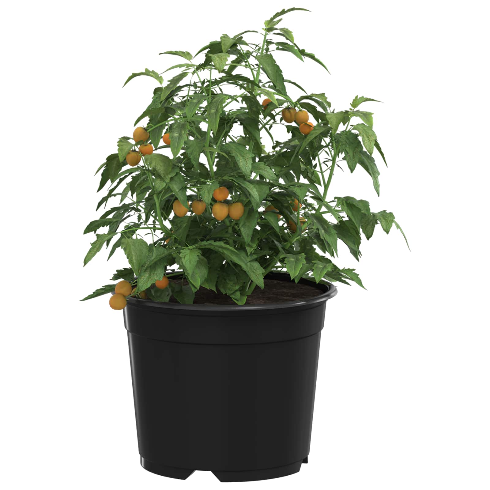 Vidaxx pot de fleur 100 pcs noir ø 15 x 12,5 cm plastique