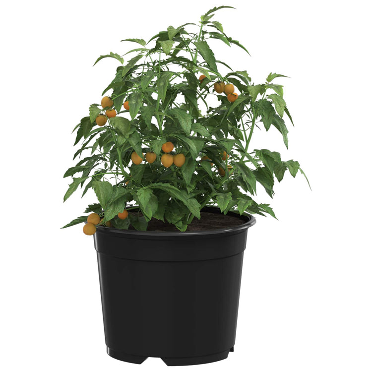 Vidaxx pot de fleur 100 pcs noir ø 15 x 12,5 cm plastique