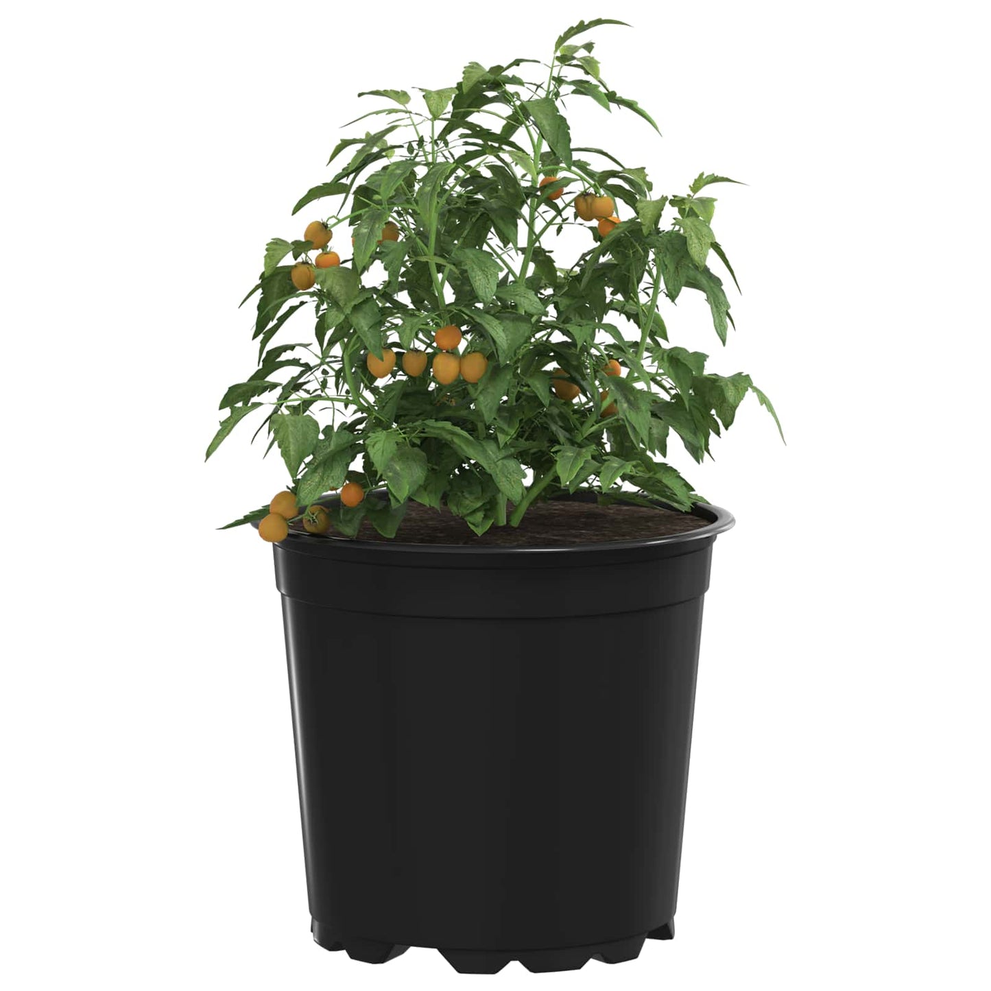 Vidaxx pot de fleur 50 pcs noir ø 15 x 13 cm en plastique