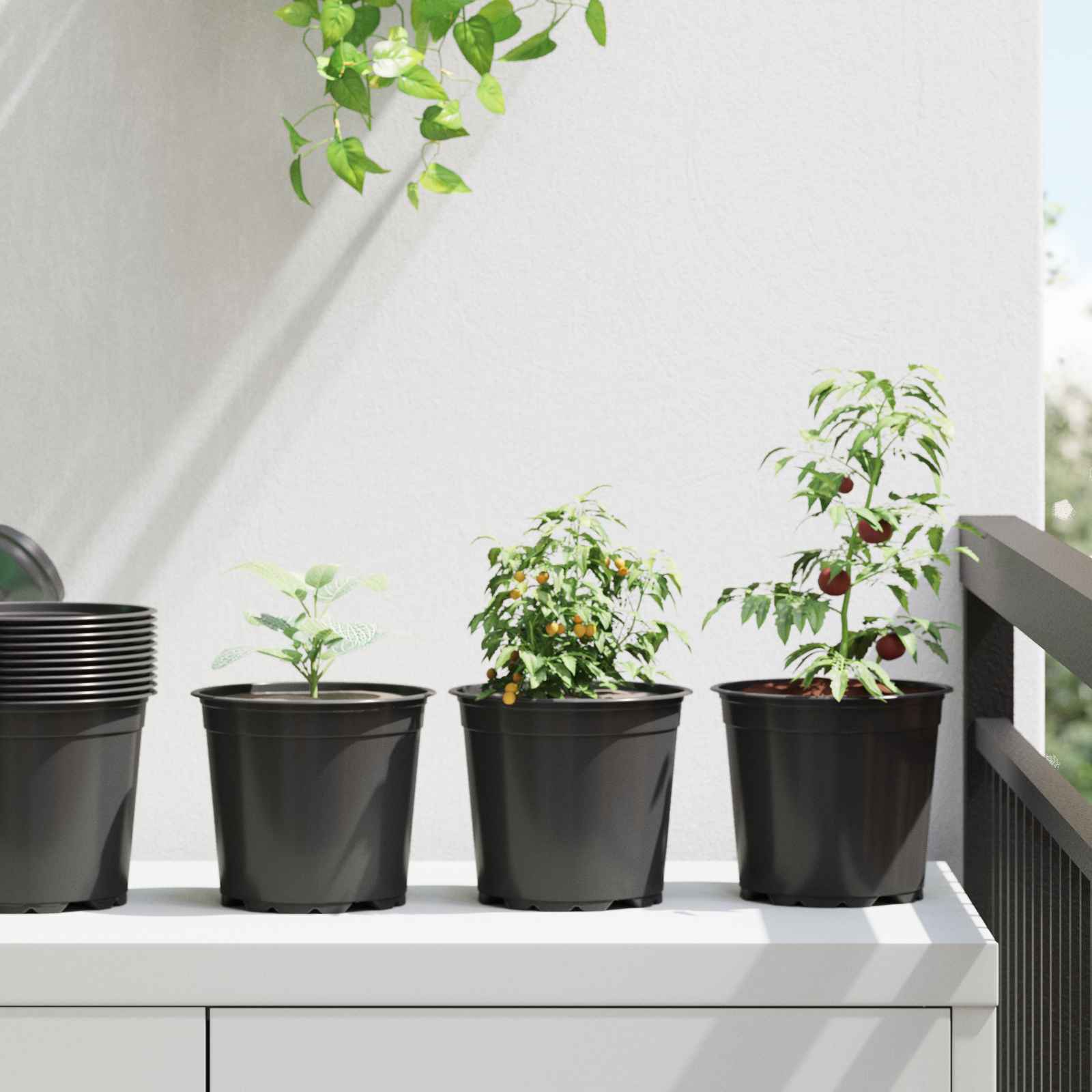 Vidaxx pot de fleur 100 pcs noir ø 15 x 13 cm en plastique