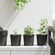 Vidaxx pot de fleur 100 pcs noir ø 15 x 13 cm en plastique
