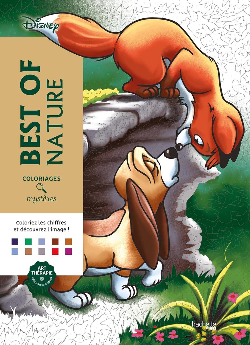 Hachette heros coloriages mystères disney best of nature - livre de coloriage couleur par numéro pour adultes et enfants - hachette