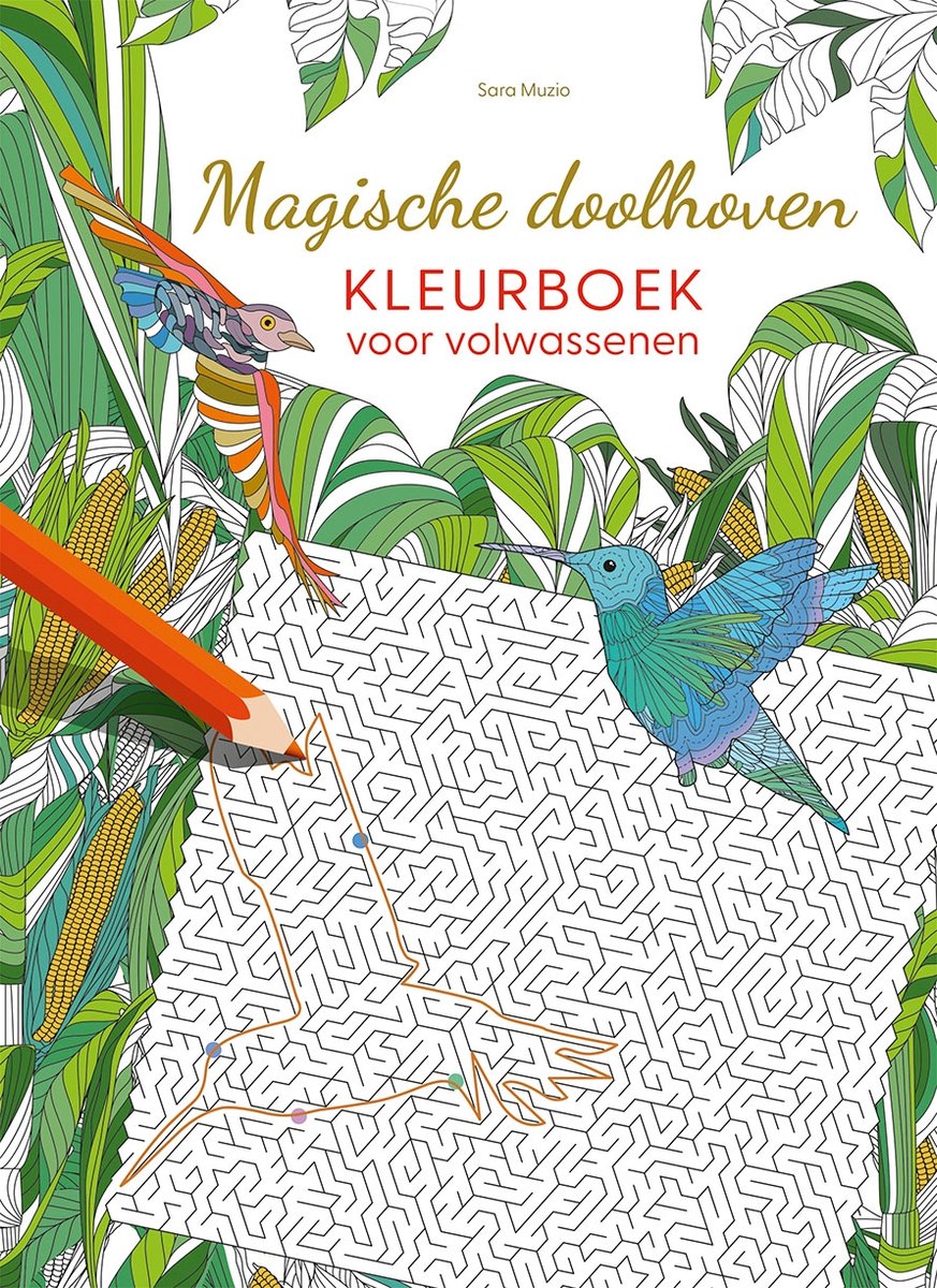 Livre de coloriage des labyrinthes magiques Deltas pour adultes