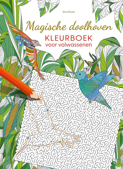 Livre de coloriage des labyrinthes magiques Deltas pour adultes