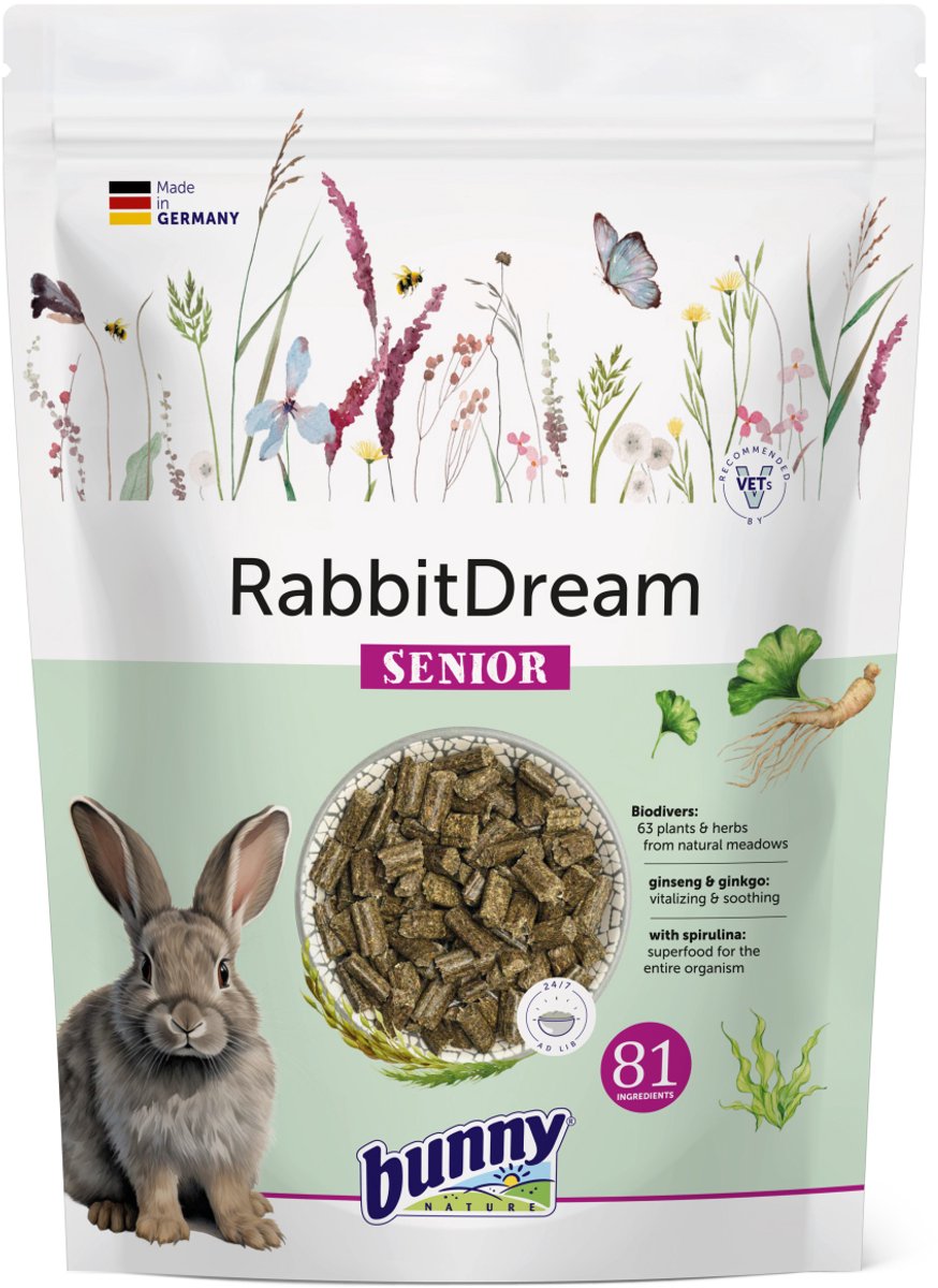 Bunny Nature Rabbit Dream Senior