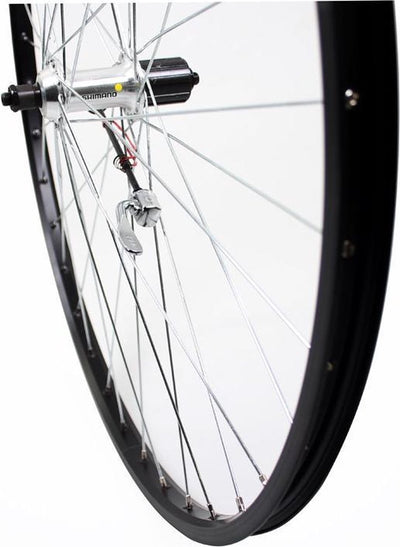 Roue arrière Roland 28 panne Cass 8V ALU AS26 Black Zinc Spk