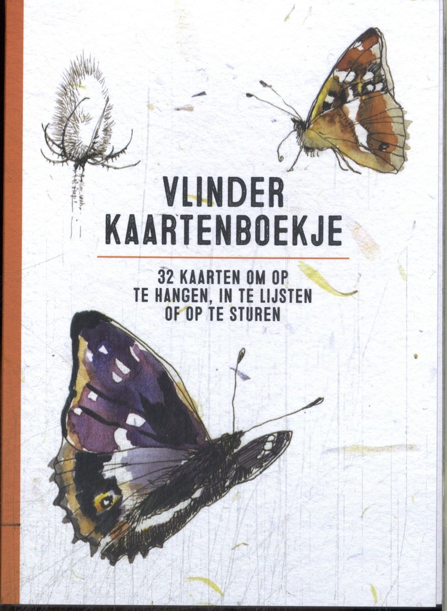 Carnet de cartes papillon