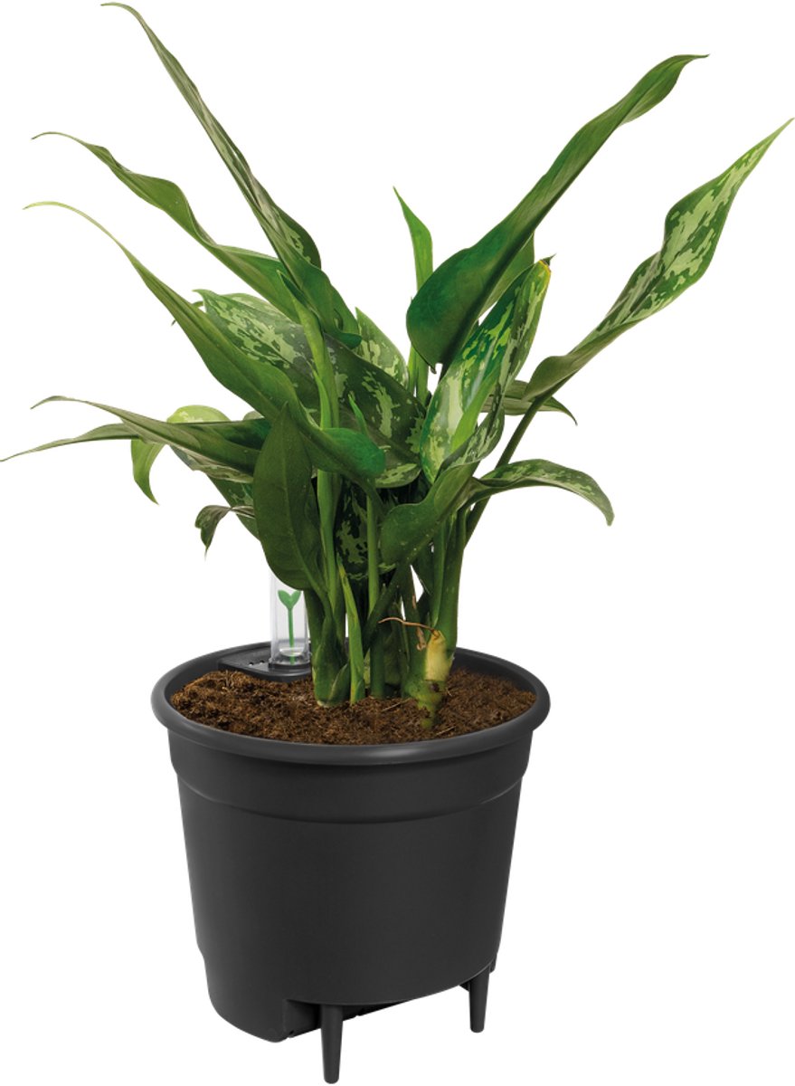 Elho insert auto-arrosant 17 - pot intérieur avec compteur d'eau - ø 17,0 x h 15,8 cm - noir vivant