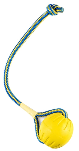 Starmark swing 'n Fing Durafoam récupérer la balle sur le cordon