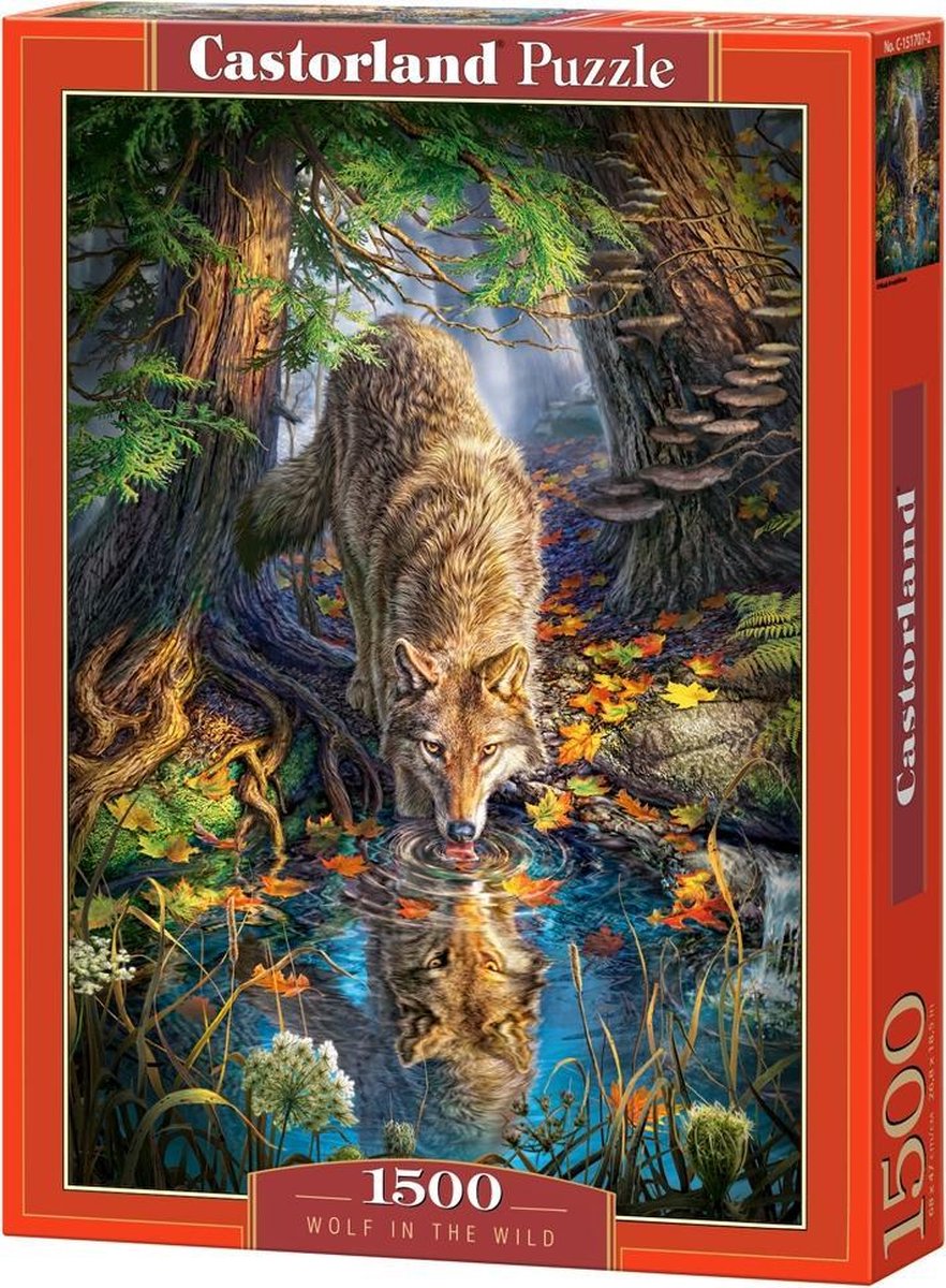 Selecta Castorland Play Puzzle Wolf in the Wild, 1500st.