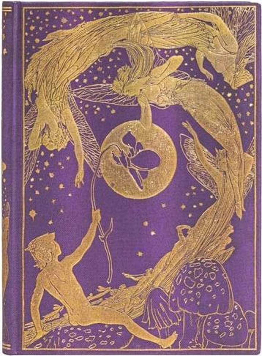 Livres de fées Paperblanks Lang's Fée violette midi - ligné