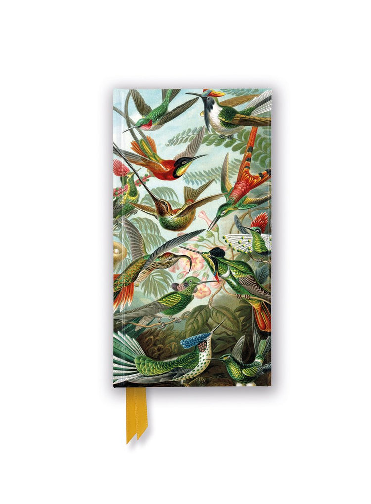Journaux slimline flame tree - Ernst Haeckel : colibris (journal slimline déjoué)