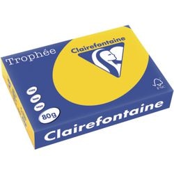 Papier coloré trophée clairfontaine 1780 80g m2 a4 couleur pastel jaune doré