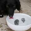 Rocks de chien Rocks de chien