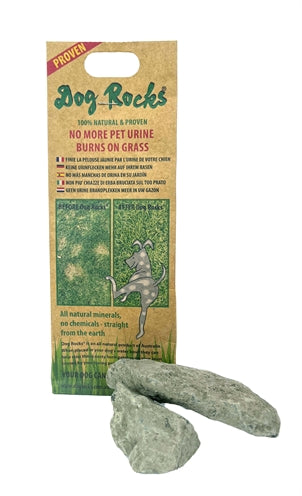 Rocks de chien Rocks de chien