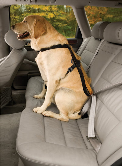 Kurgo harnais pour chien tru-fit smart harnais nylon noir taille xs