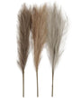 Creativ Company Pampasgras Beige Brown Grey, 3e.