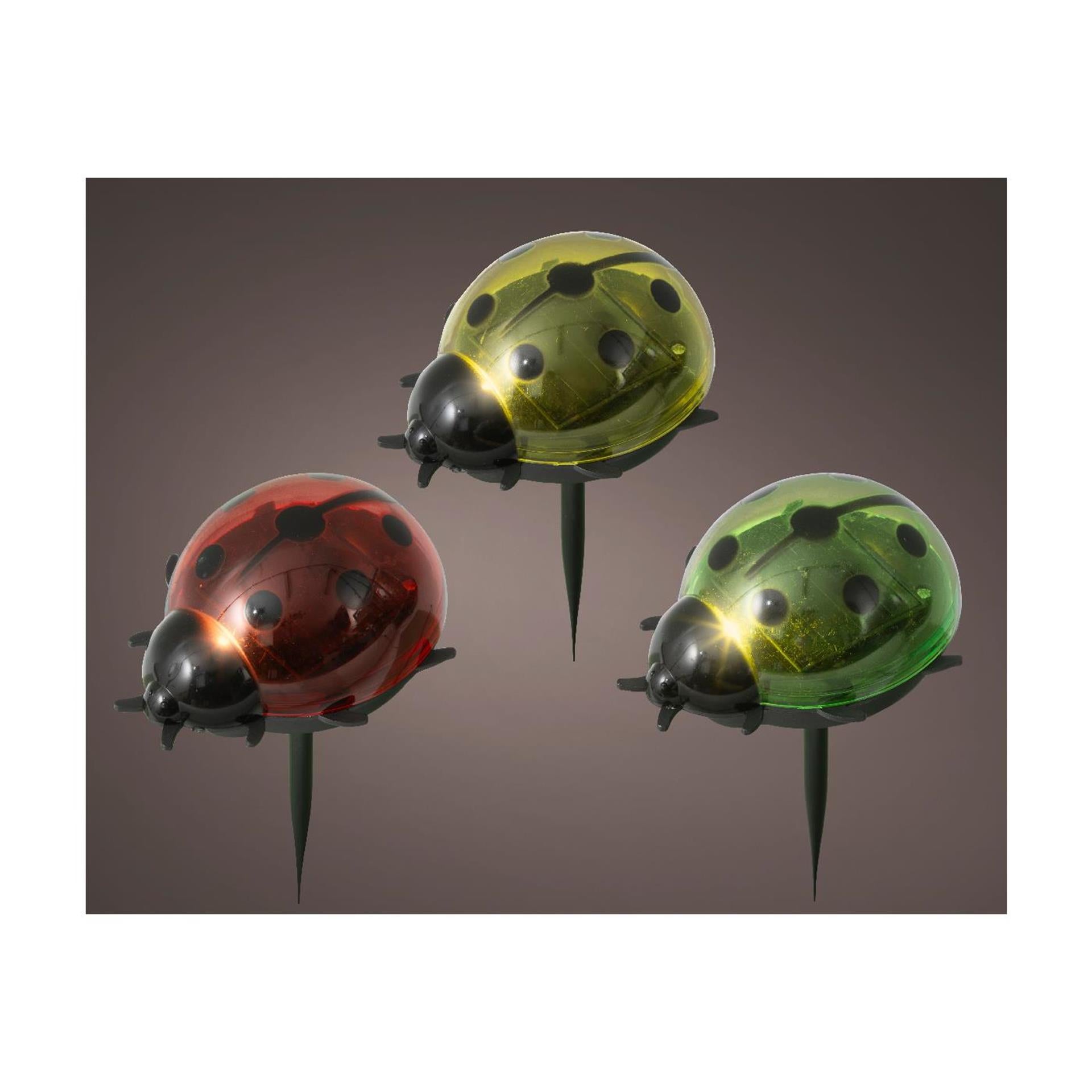 Lumineo lampe solaire enfichable coccinelle plastique 6x8x14cm 3 assortis