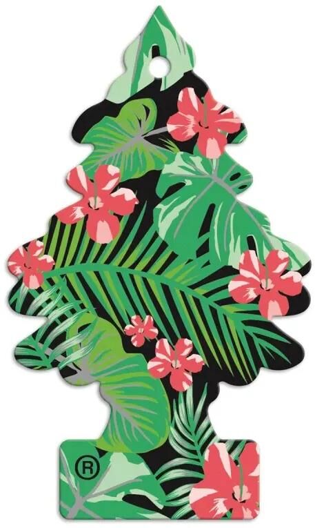 Wunder-baum parfum arbres désodorisant désodorisant jungle feve 1 er